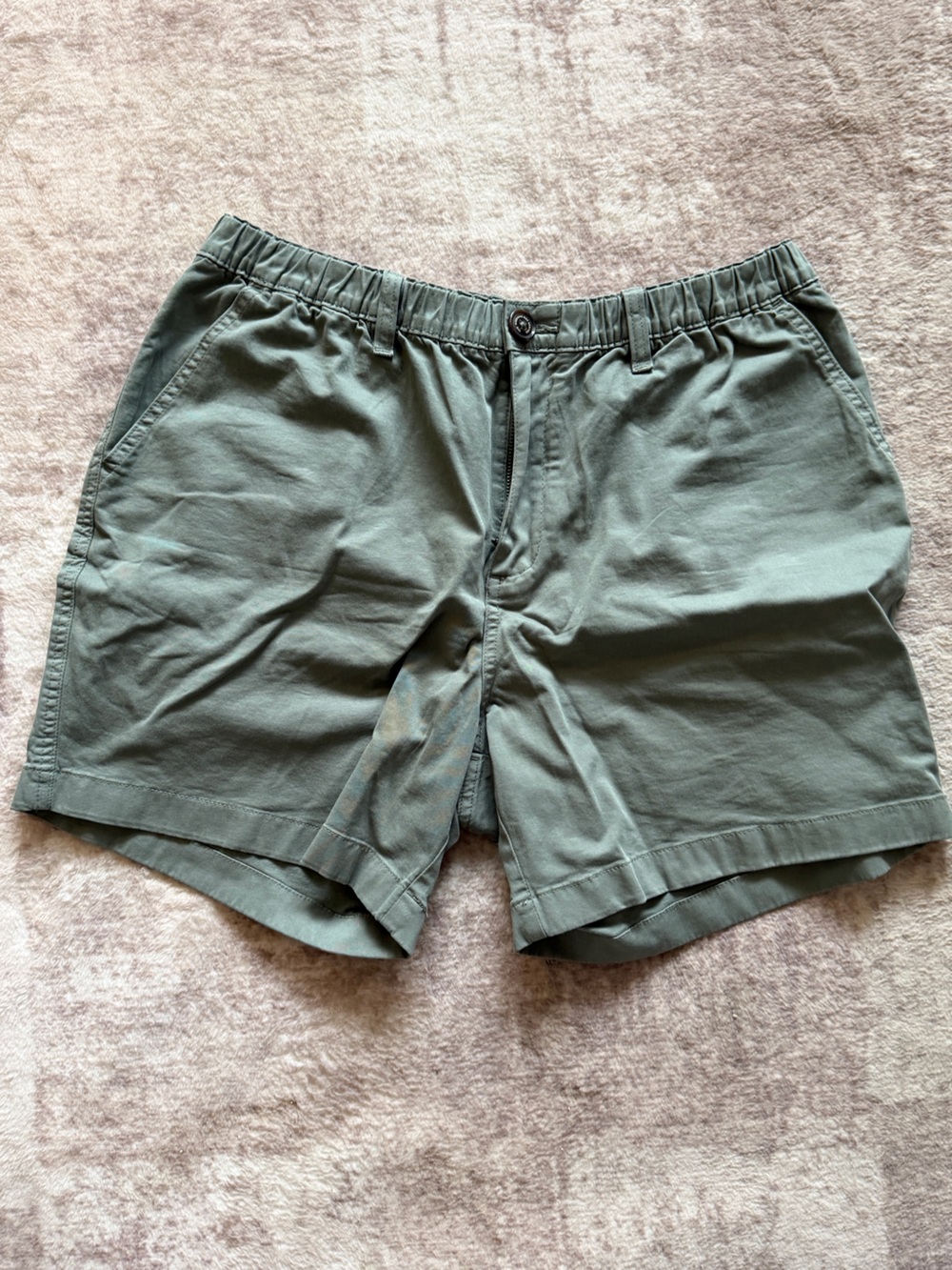 Men’s Chubbies “Escape From The Weekend” Shorts — Size Large (5.5” Inseam)